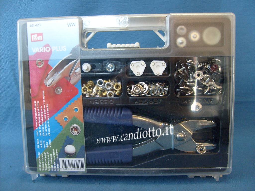 Scatola 5 tipi bottoni auto con pinza